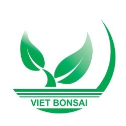 Bonsai Việt